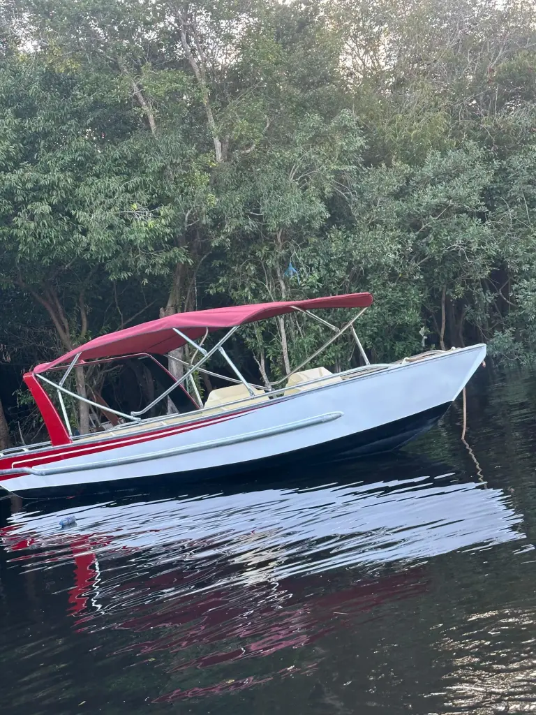 Capota vinho em embarcação branca